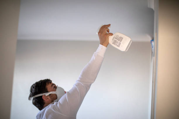 Best Fast Mold Removal  in Edina, MN